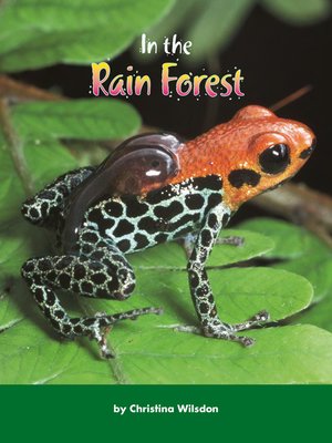 cover image of In the Rain Forest